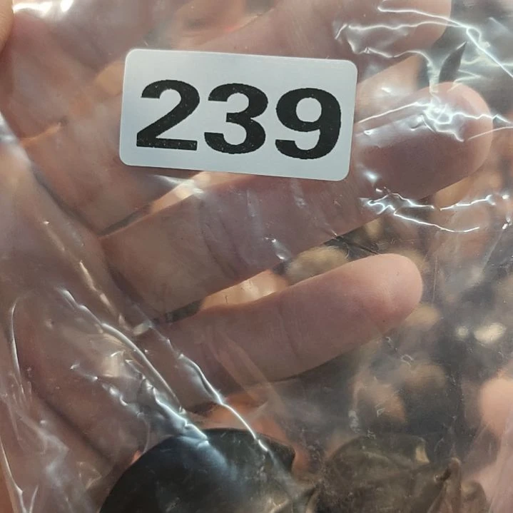 文玩核桃吊坠水***成文玩核桃