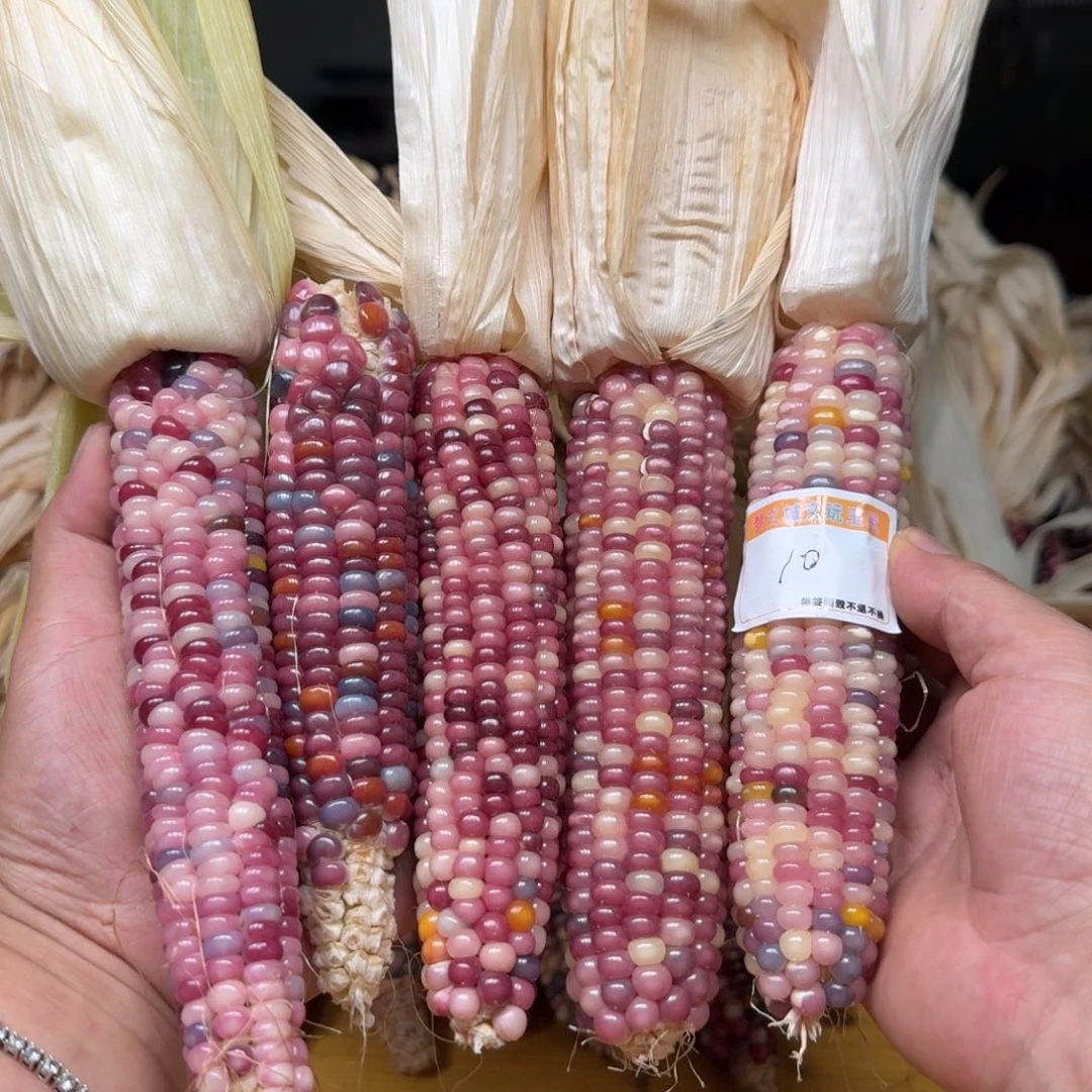 J***d柏香籽/百香籽吊坠