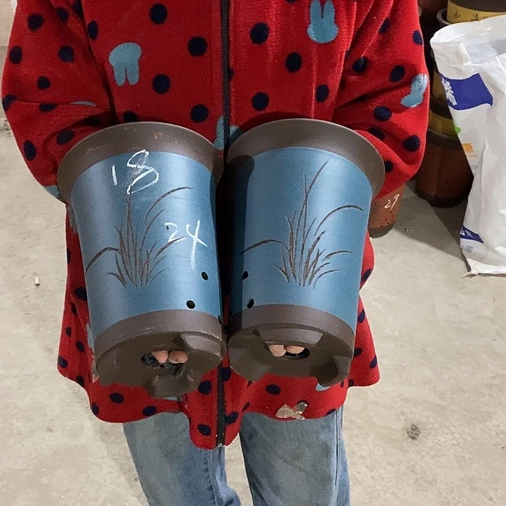 紫砂花盆紫砂花盆