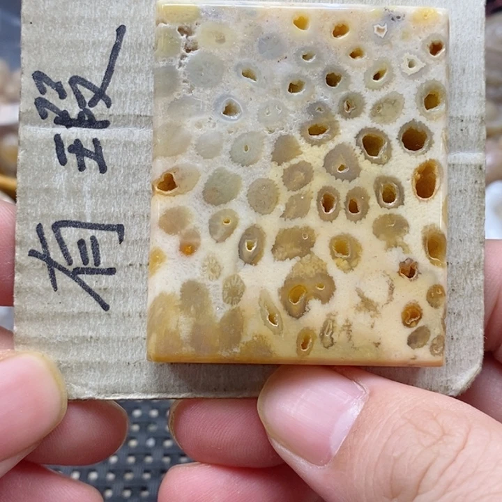 硅化珊瑚（珊瑚玉）颈饰未镶嵌