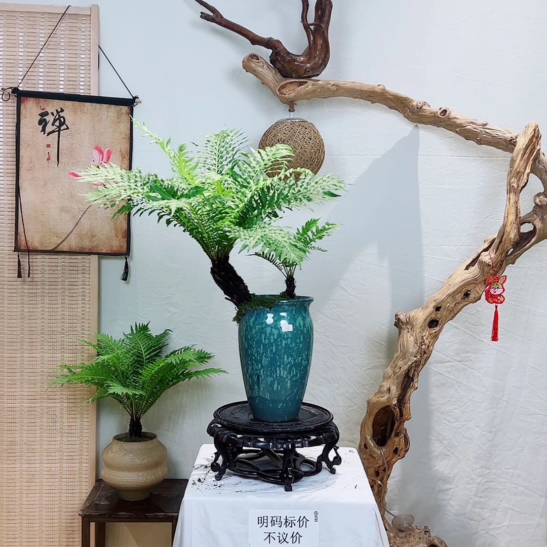 ****询无花朵鱼鱼鱼鱼鱼鱼鱼鱼鱼鱼鱼