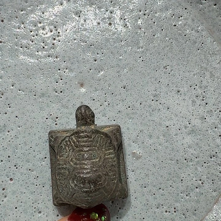 盘盘88888888888888888