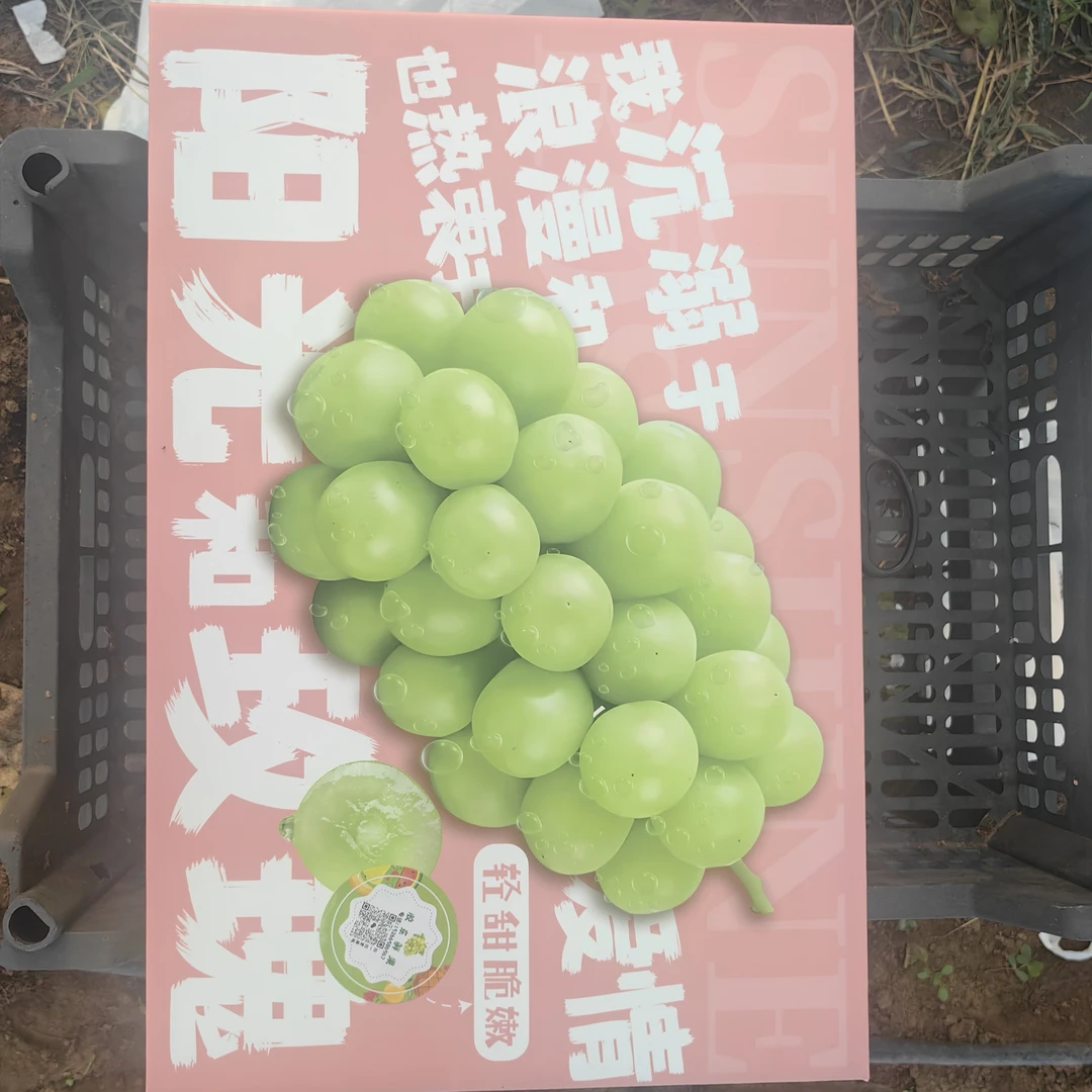 烟台阳光玫瑰晚脆香甜