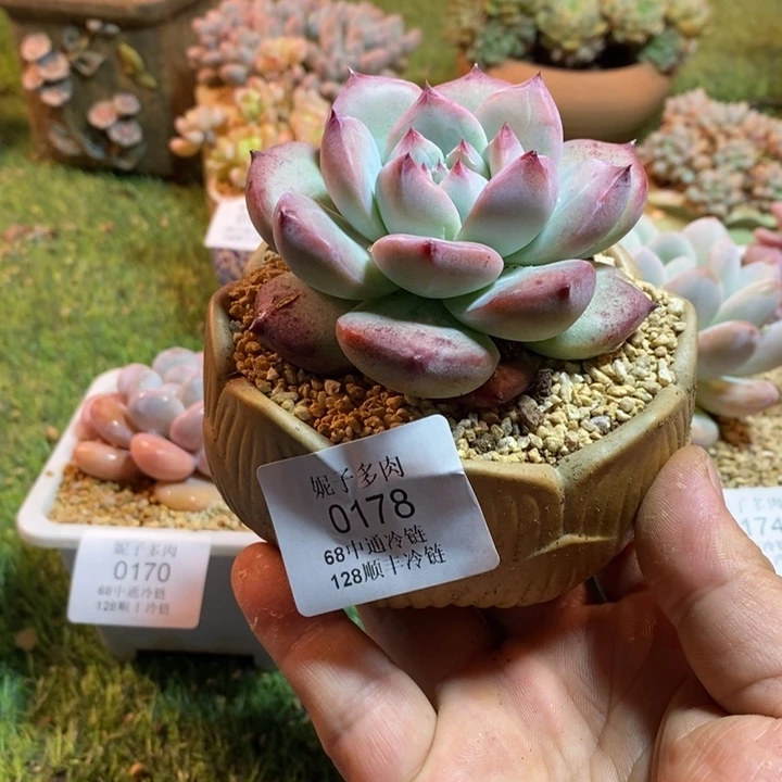 0178啊啊啊啊啊啊啊啊啊啊