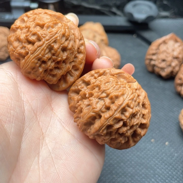 核桃手串/手链看***人白狮子44尺全品无修