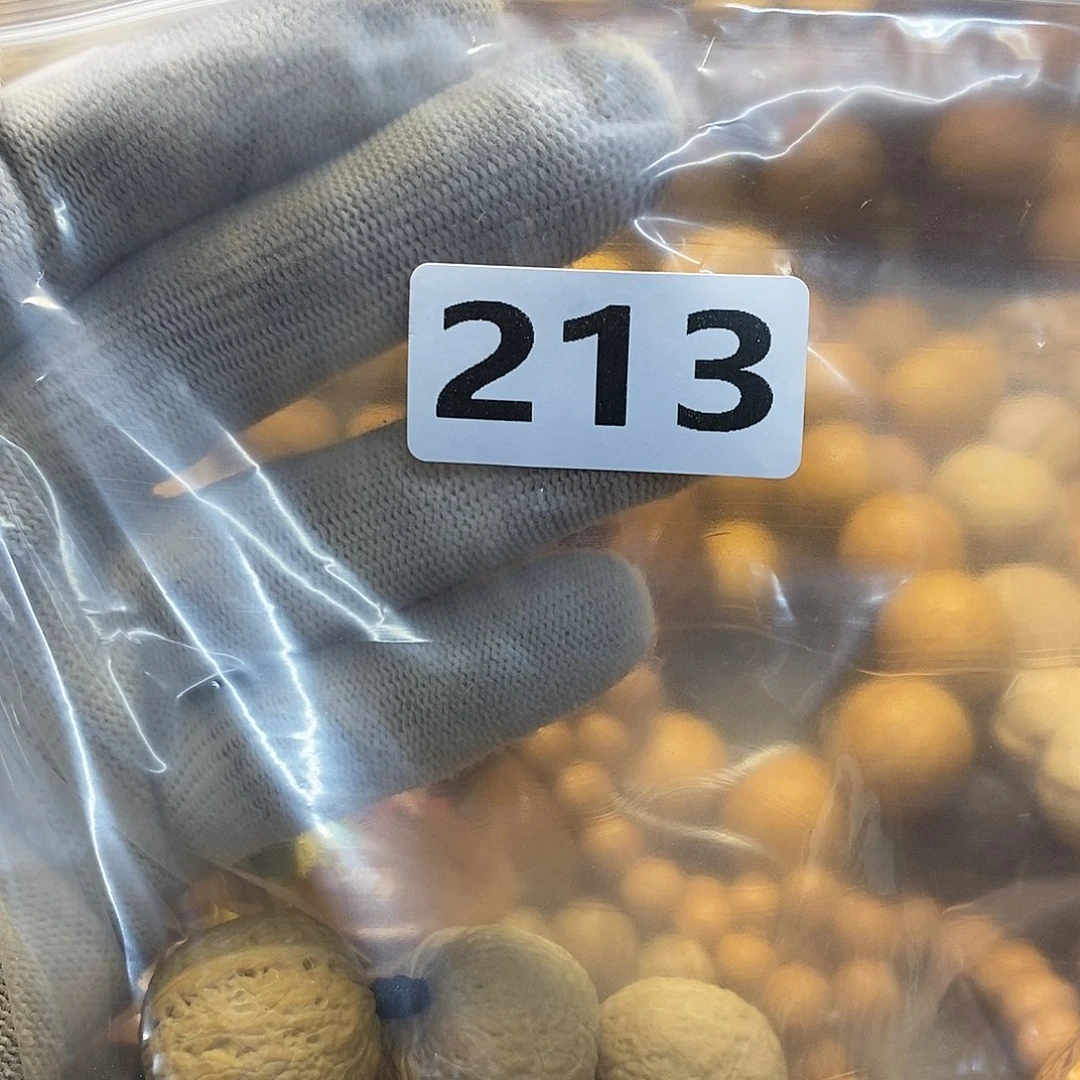 吊坠橄榄核今****我