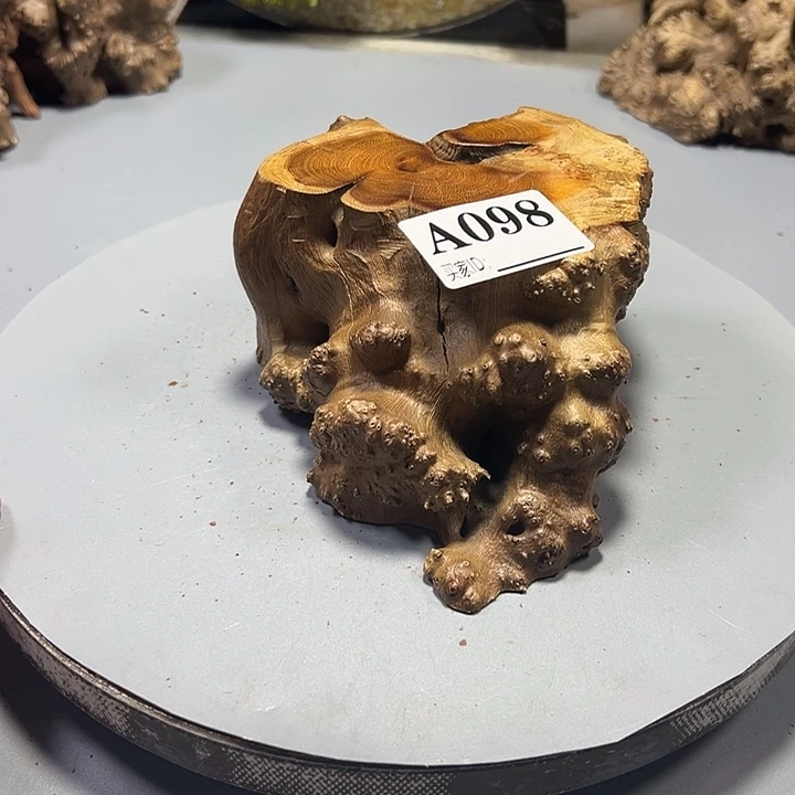 陈***意大果紫檀（缅甸花梨）