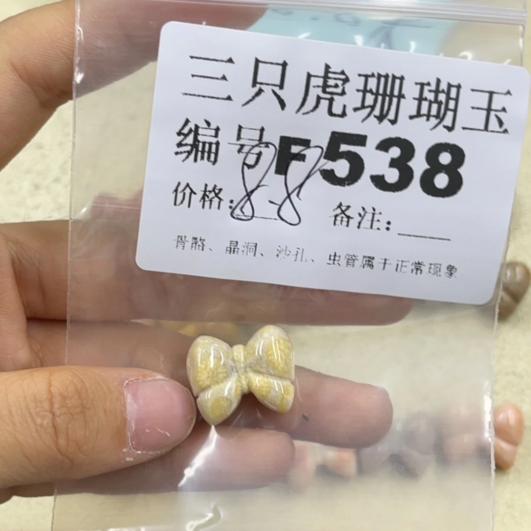 大***行未镶嵌h硅化珊瑚（珊瑚玉）