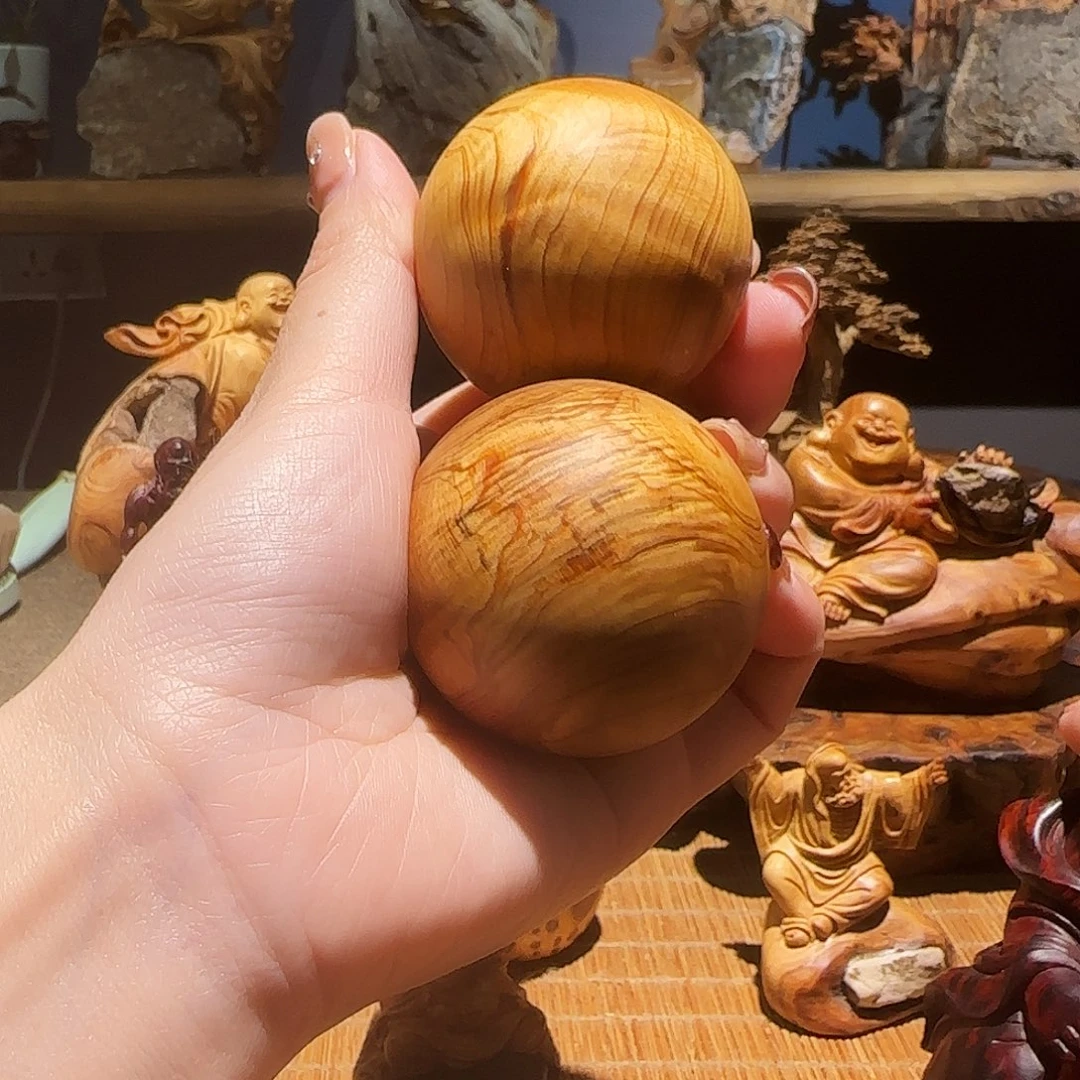 柏木（崖柏）太行集团