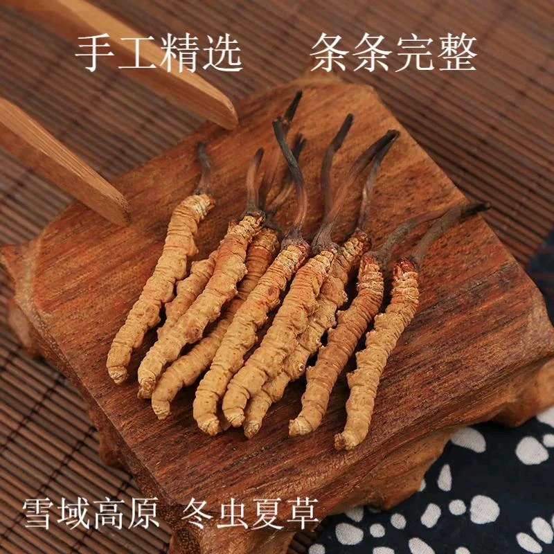 杞里香冬虫夏草手工精选根根完整YC