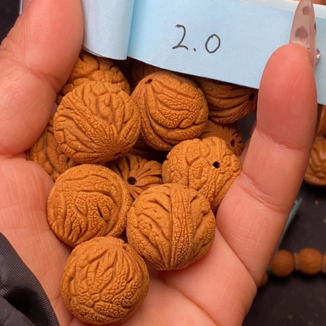 秦岭龙纹桃核13颗