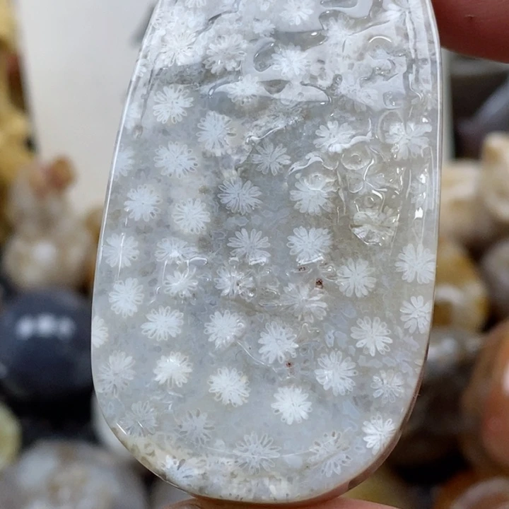 颈饰未镶嵌硅化珊瑚（珊瑚玉）