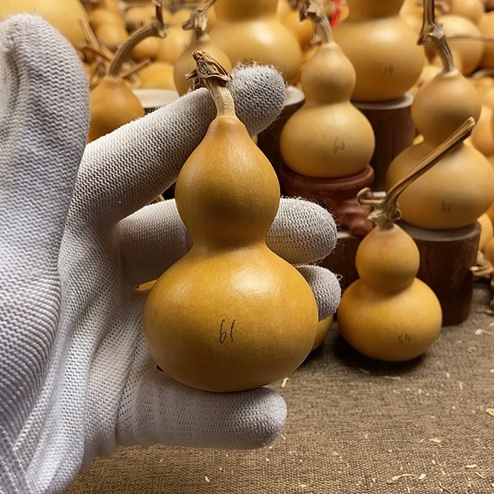 文玩葫芦 完美主义者 慎拍61