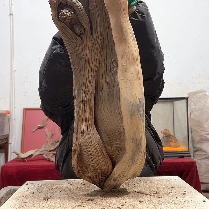 柏木泰**下我们的生活也