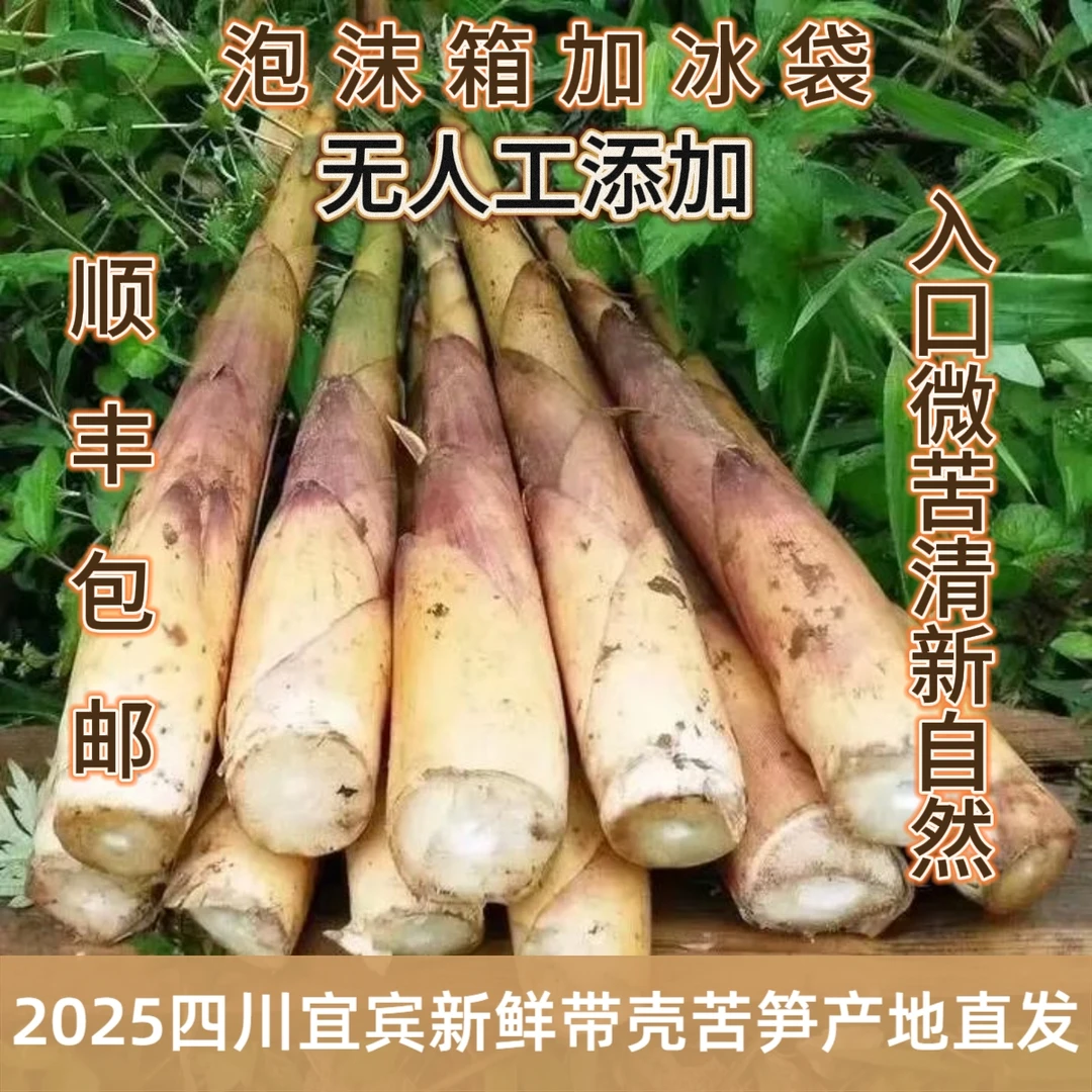 【顺丰包邮】新鲜四川宜宾甜苦竹笋深山现挖微苦春笋手剥笋