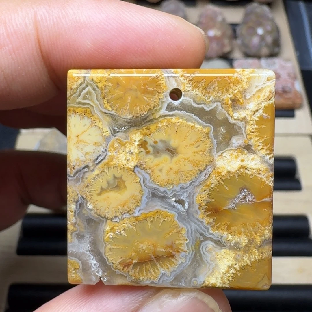 硅化珊瑚（珊瑚玉）未镶嵌纯天然色有机玉石保真色