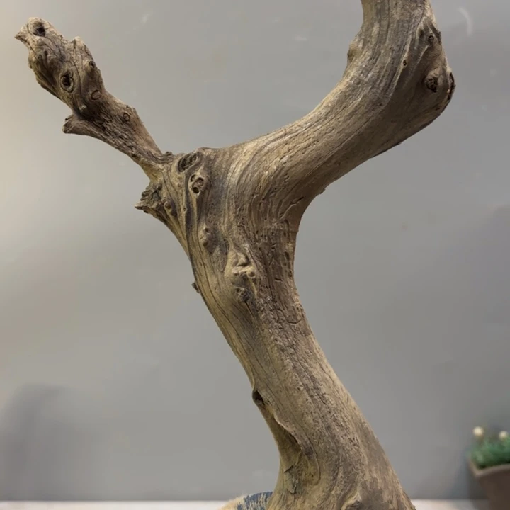 盯***喵崖柏雕刻造型摆件料