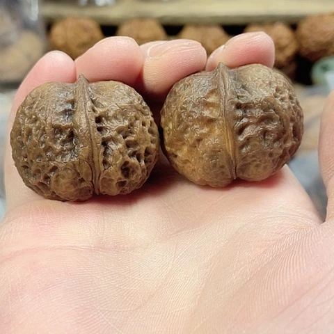 文玩核桃把件魔丸带彩36+