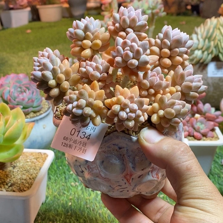 0134啊啊啊啊啊啊啊啊啊啊