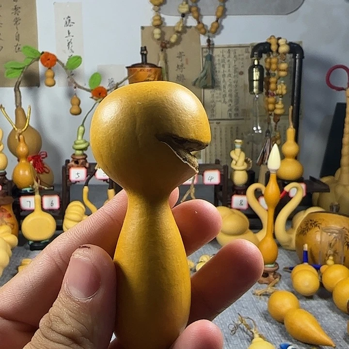 西***花哈喽哈喽哈喽哈喽