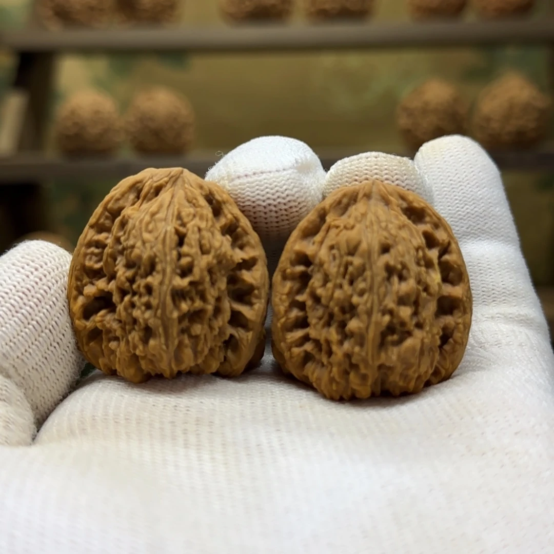 【闪购商品】0***?双瘤疤富甲天下