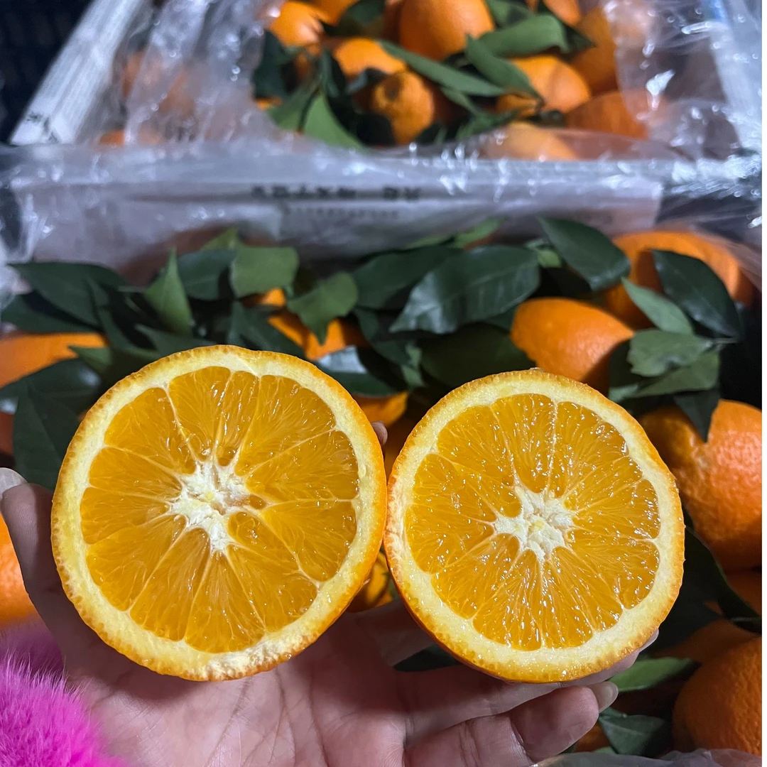 纽荷尔脐橙 汁水充足 带箱8斤