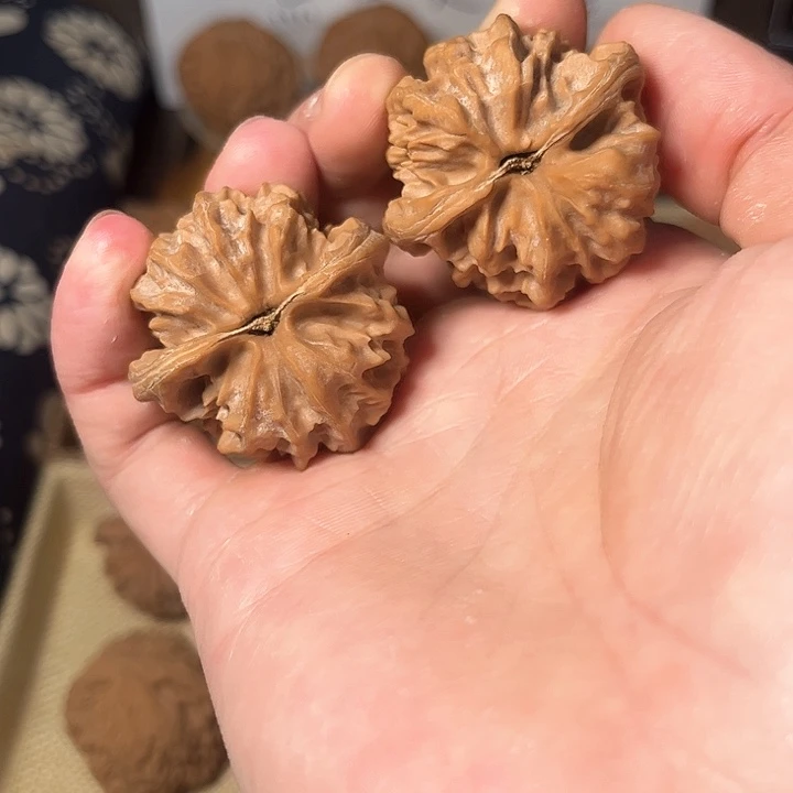 核桃曹大龙38尺，