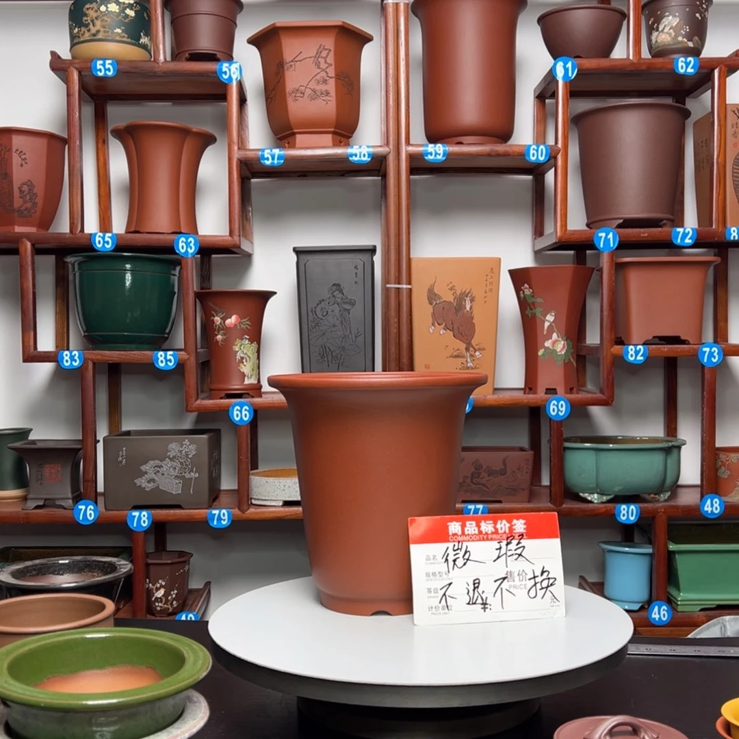 紫砂花盆海**楼金钟花盆