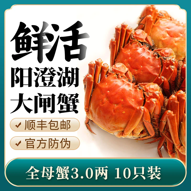 【活蟹】阳澄湖大闸蟹 全母蟹3.0两10只礼盒装 四记联洋塘养