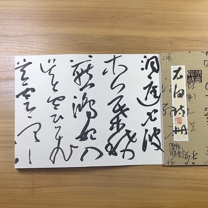 书法中书协会员作品