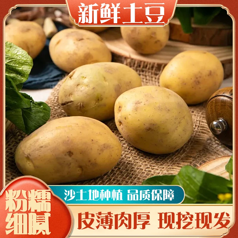 新鲜黑土地现挖特大果精品黄皮黄心沙糯粉面土豆马铃薯当季蔬菜