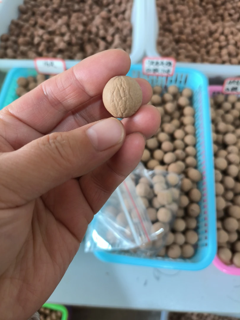 猴头光头强雕刻料核桃