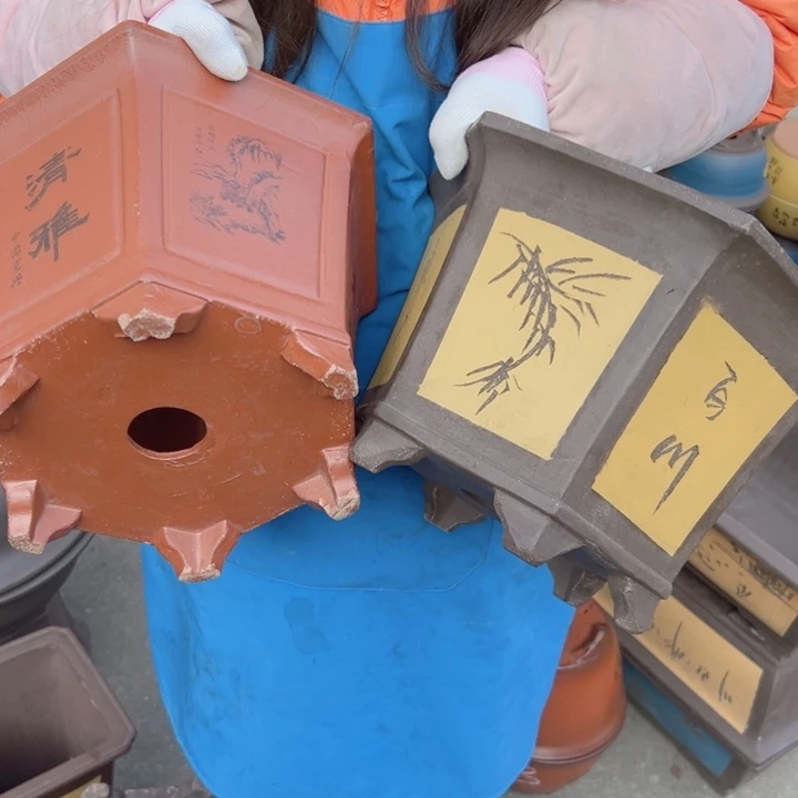 25红清雅六方和25黄六方花盆花盆