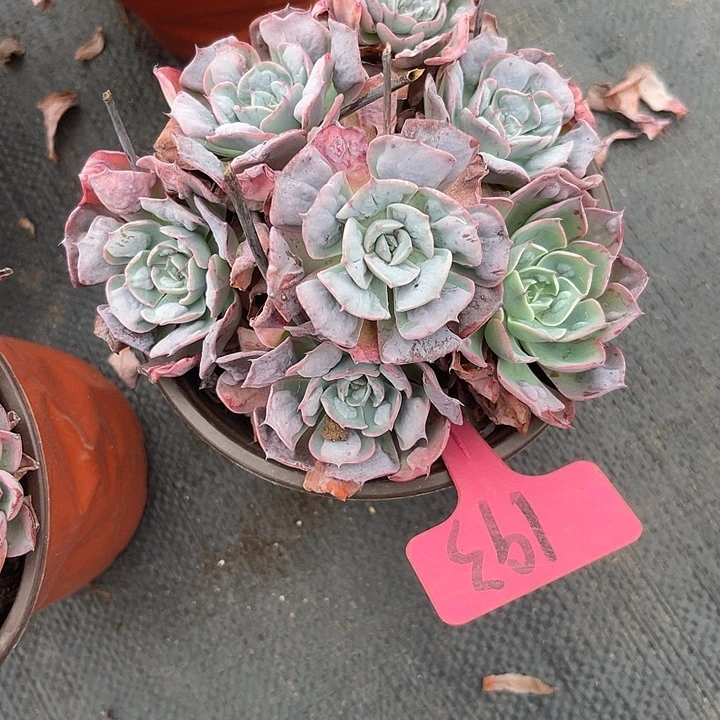 水***雾两单包邮，一物一拍193