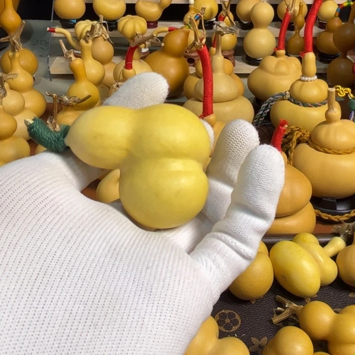 影***》葫芦葫芦金蝉葫芦