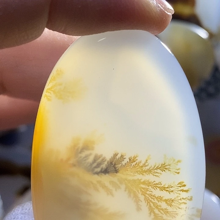 未镶嵌颈饰玛瑙/玉髓一*