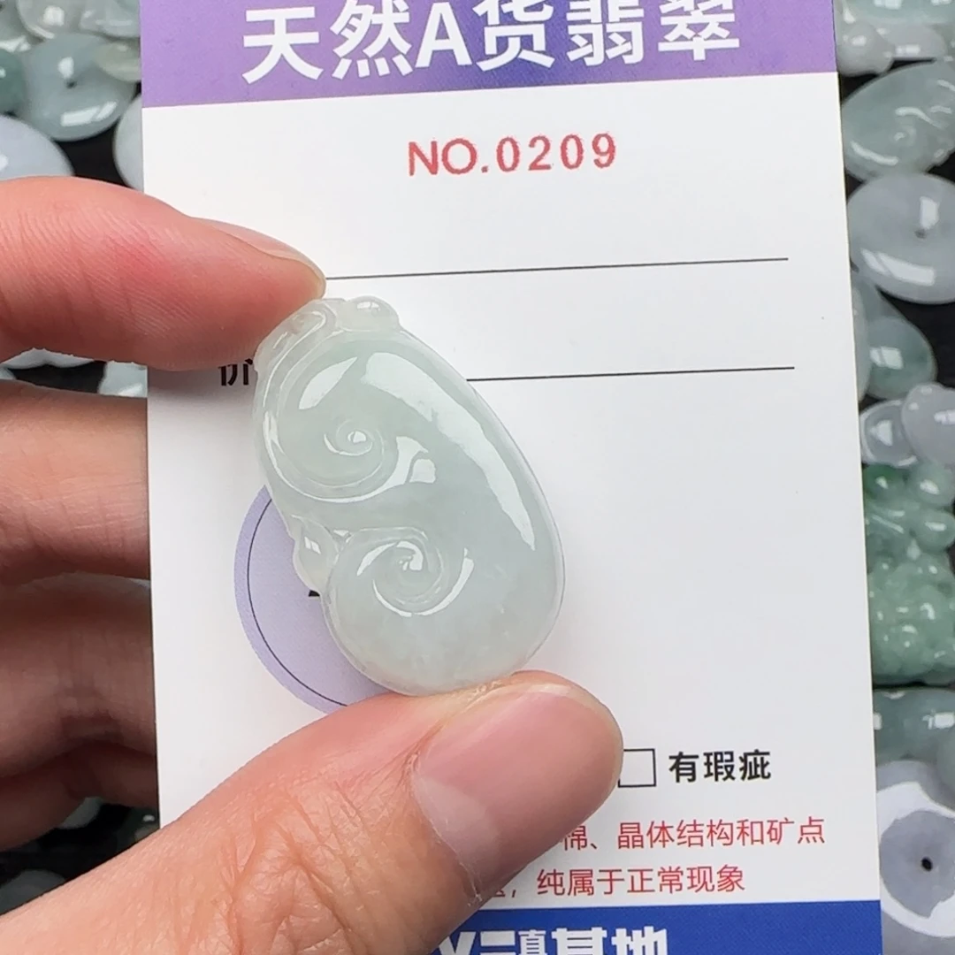 翡翠未镶嵌颈饰209