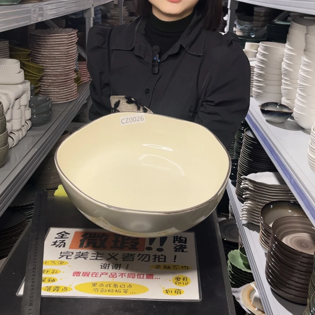 瓷片0026。             1个