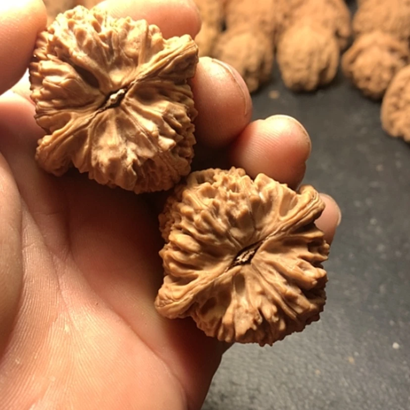 【闪购商品】?***?南疆