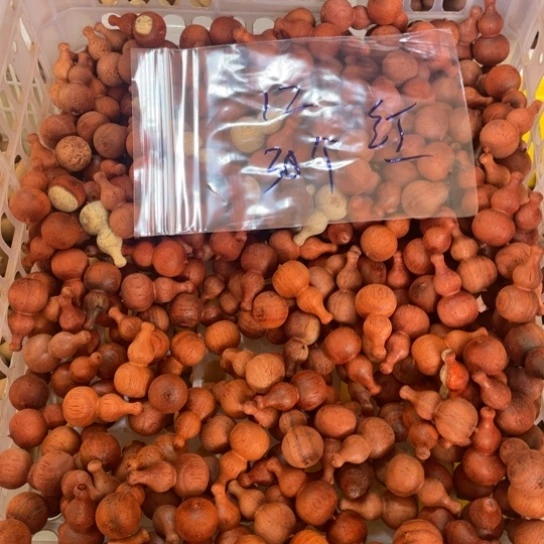 非洲紫檀（红花梨）