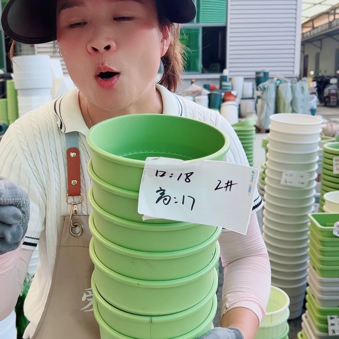 瑕疵多孔2#果绿色8个无托
