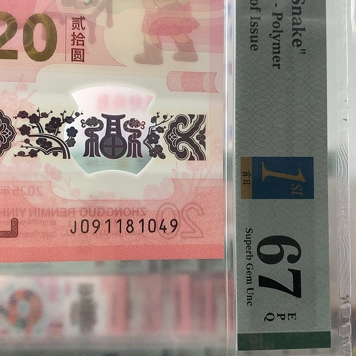 塑料金帆号，1049，