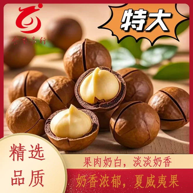 005夏威夷果【老板娘专属 】