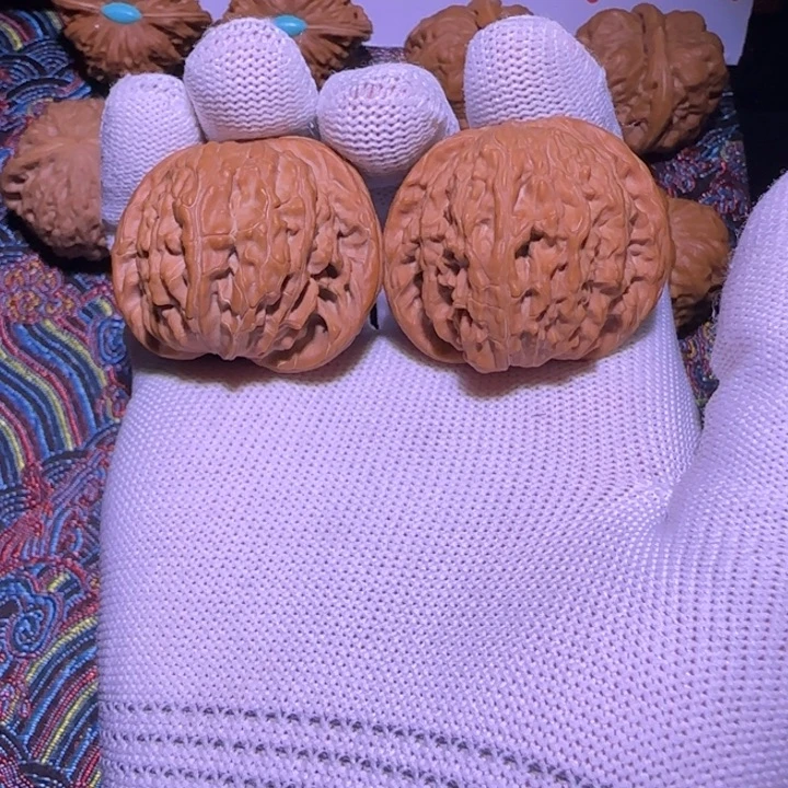 核桃野生狮子头福利