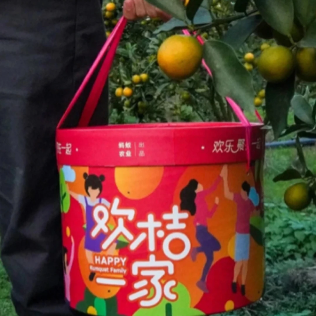 【小豪哥甄选】广西融安大桔已定脆蜜金柑净重4斤金桔广西壮族自治区