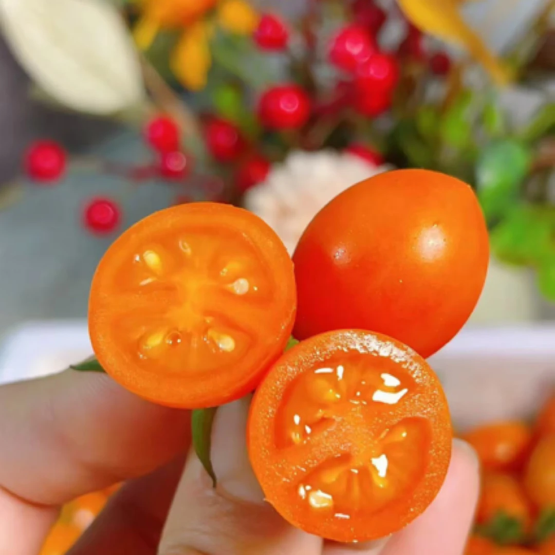 冰糖黄珍珠小番茄1箱