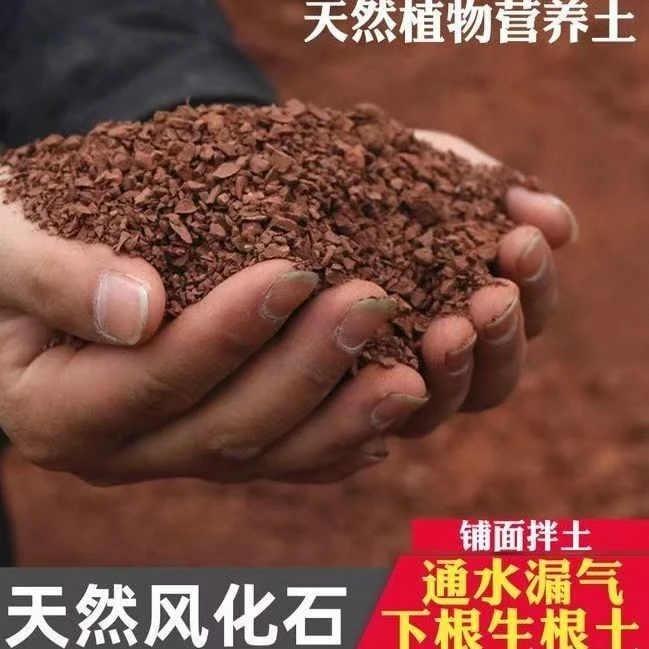 云南酸性盆景风化石颗粒