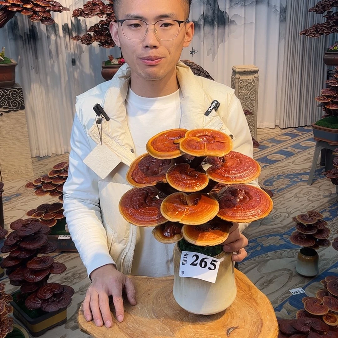 无花朵888888888888