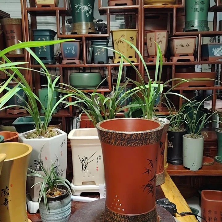 东*?6941280597140051178