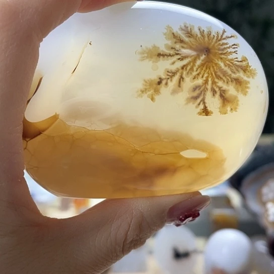 玛瑙/玉髓颈饰未镶嵌农**歌